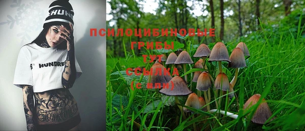 экстази Алексин